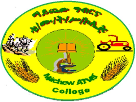 Maichew  Agricultural Polly  College